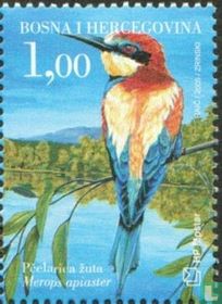 Birds in the river delta of the Neretva