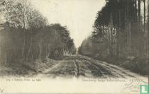 Bosweg langs Schovenhorst