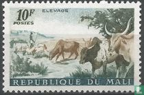 Animal Husbandry