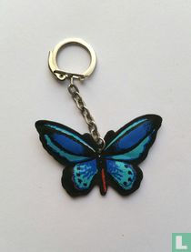 Vlinder blauw 