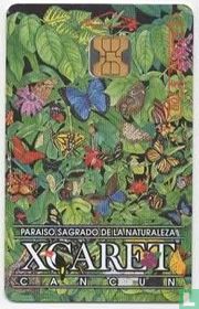 Xcaret  