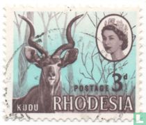 Kudu