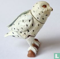 Harfang des neiges