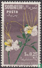 Flore 