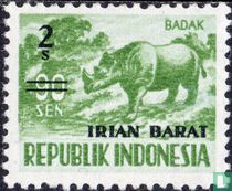 Sumatran rhinoceros