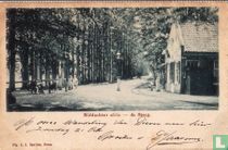 Middachter allee - de Steeg