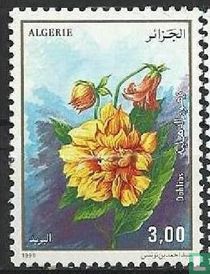 Flore - Fleurs