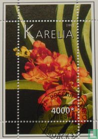 Orchidées