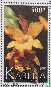 Orchidées