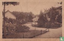 Vakteekenschool in het Park