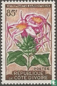 Fleurs