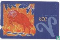 Sterrenbeeld KOC