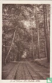 Op de Veluwe, "De Poolsche Allée"