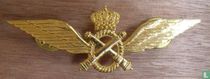 Ailes-Militaires-Belges - Officier Vlieger Lichte vliegwezen