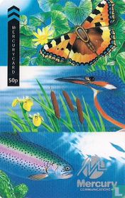 Wildlife Composite