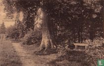 Lochem, Boschgezicht