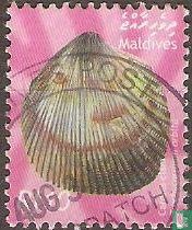 coquilles