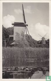 Molengroep Ned. Openluchtmuseum