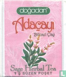 Adaçayi