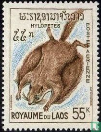 Fauna