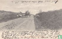 Weg naar 't Kamp Oldebroek bij Epe