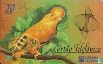 Galo-Da-Serra