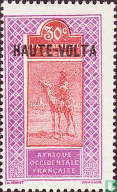Camel rider