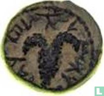 Judée AE18 (Simon Bar Kochba, année 2) 133-134