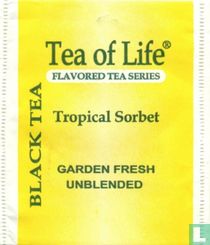 Black Tea Tropical Sorbet