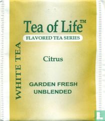 White Tea Citrus 