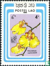 Argentina 85 - Blumen kaufen