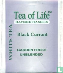 White Tea Black Currant 