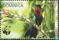 Oiseaux