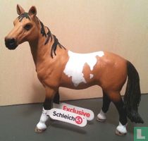 Pinto Mare / special livery Müller