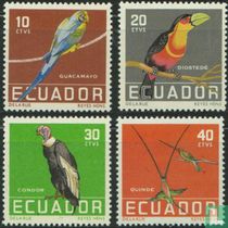 Tropical Birds