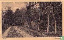 Putten, Boschweg