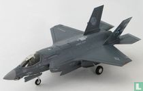 US Marines- F-35B Lightning II, JSF, VX-23, "Salty Dogs"