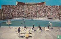 Sea Arena Marineland of the Pacific SeaLion