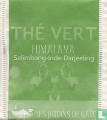 Himalaya Selimbong-Inde-Darjeeling