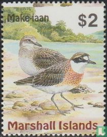 Oiseaux des îles Marshall