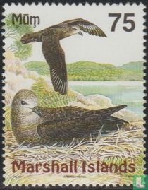 Oiseaux des îles Marshall 