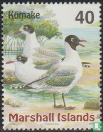 Oiseaux des îles Marshall