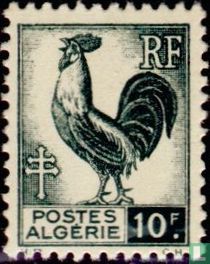 Rooster