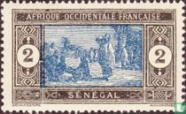 Indigenous market