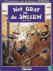 Het graf in de sneeuw kaufen