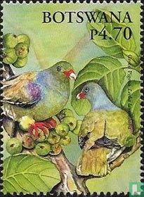 Pigeons