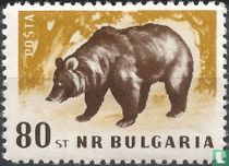 Indigenous forest animals