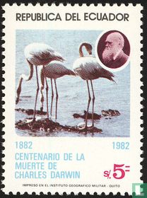 C. Darwin et les flamants roses