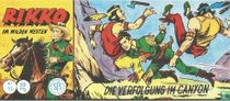 Die Verfolgung im Canyon