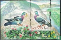 Oiseaux